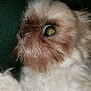 Meet your Posher, Lori